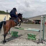 Activité équestre aux Écuries d'Amy