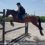 Installations équestres